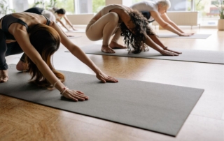 Tipos de yoga y diferencias entre hatha, vinyasa, kundalini y más