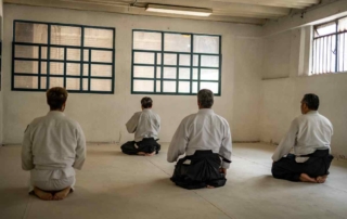 aikido destaca entre las artes marciales